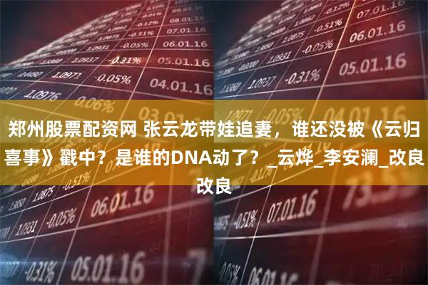 郑州股票配资网 张云龙带娃追妻，谁还没被《云归喜事》戳中？是谁的DNA动了？_云烨_李安澜_改良